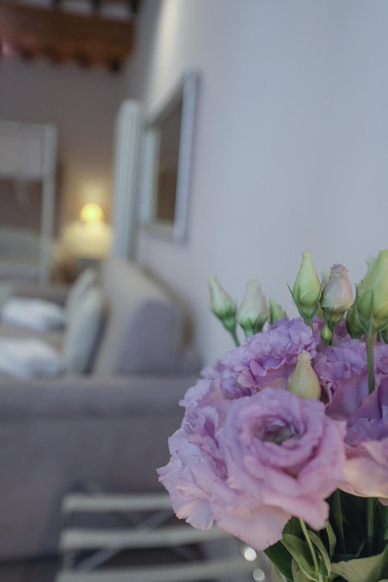 B&B Il Senesino Siena Zewnętrze zdjęcie