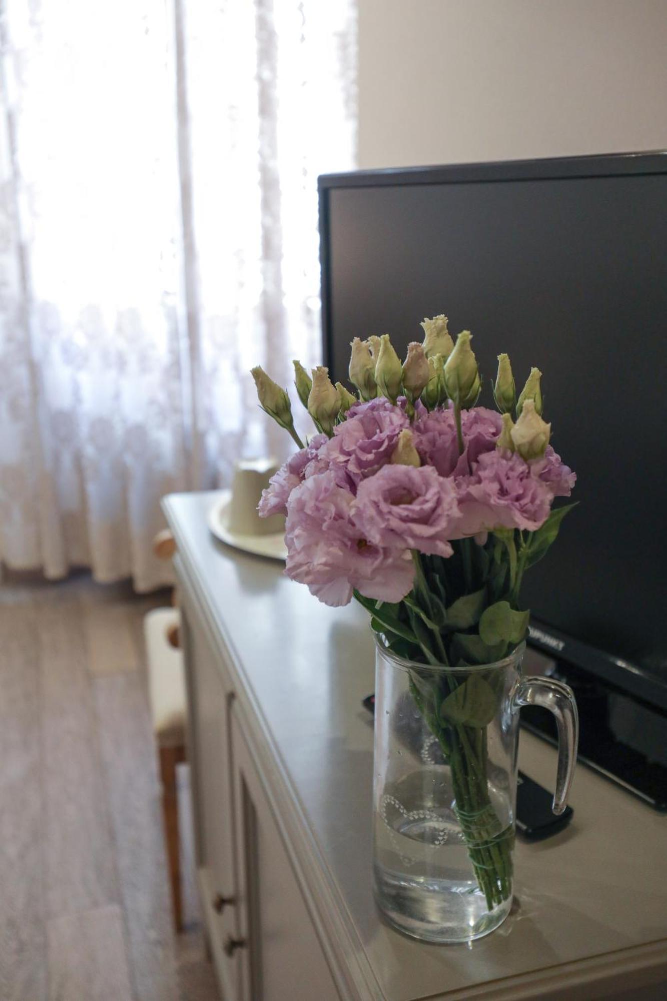 B&B Il Senesino Siena Zewnętrze zdjęcie